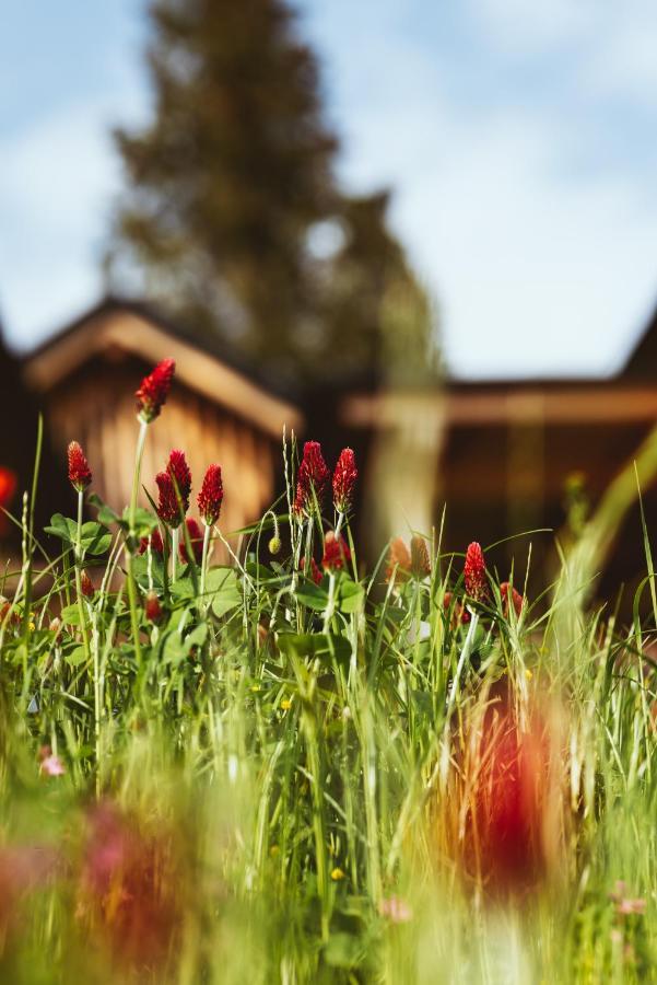 Hideaway Hotel Montestyria Chalets & Suiten Mariazell Buitenkant foto